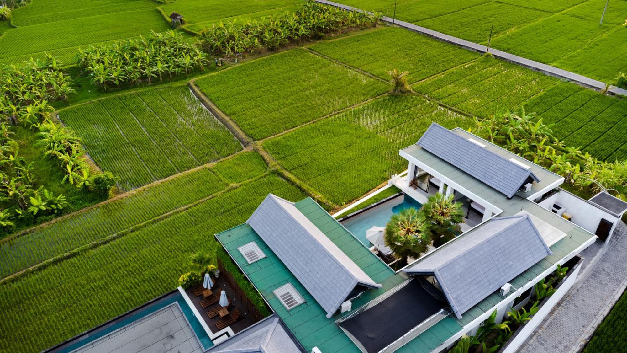 Villa Lina By Balisuperhost Ubud Extérieur photo